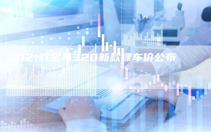 2021款宝马320新款裸车价公布-新时代汽车网