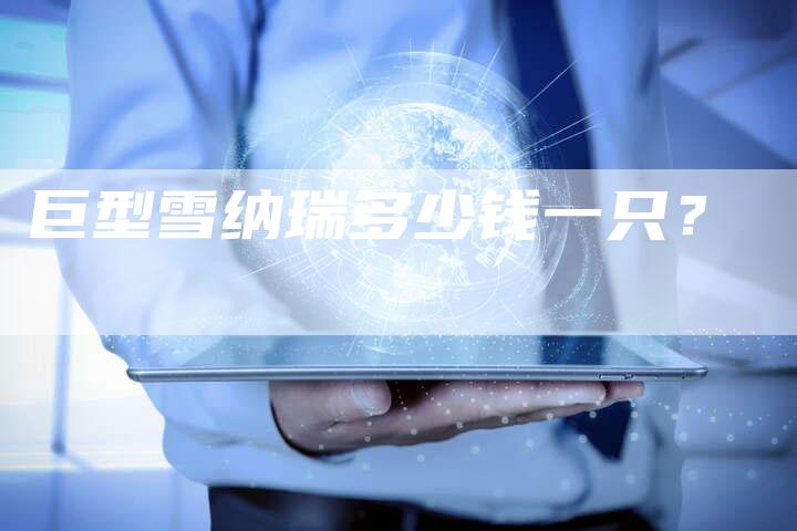 巨型雪纳瑞多少钱一只?-新时代汽车网