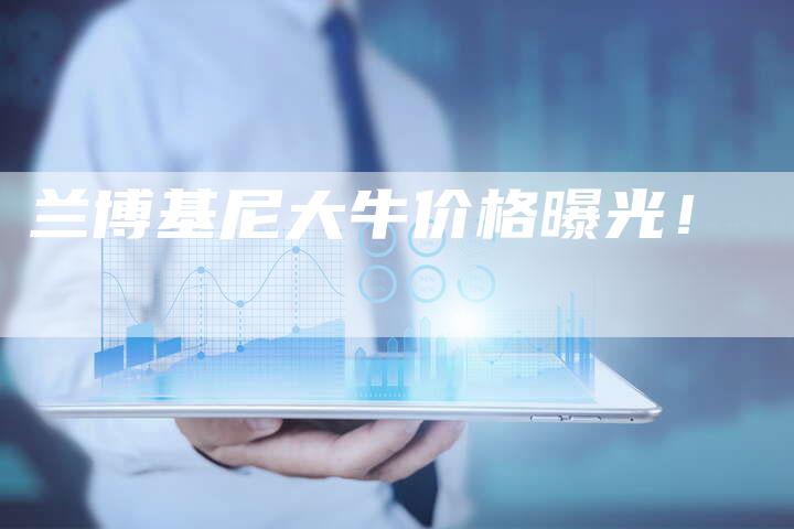 兰博基尼大牛价格曝光!-新时代汽车网