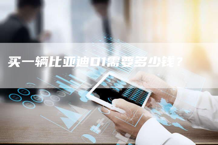 买一辆比亚迪D1需要多少钱?-新时代汽车网