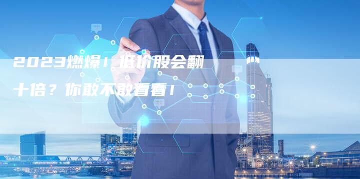 2023燃爆!低价股会翻十倍?你敢不敢看看!-新时代汽车网