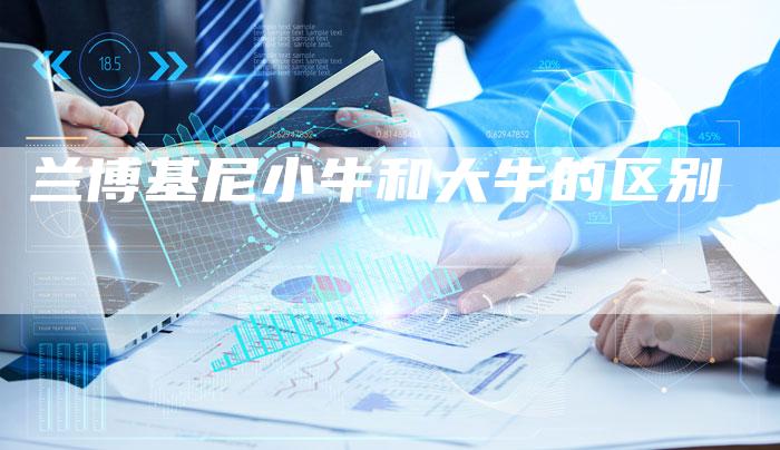 兰博基尼小牛和大牛的区别-新时代汽车网