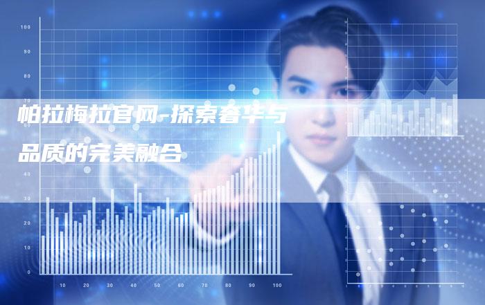 帕拉梅拉官网-探索奢华与品质的完美融合-新时代汽车网