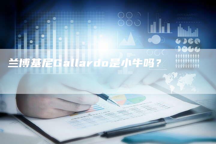 兰博基尼Gallardo是小牛吗?-新时代汽车网