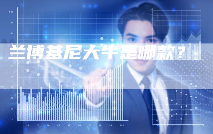 兰博基尼大牛是哪款?-新时代汽车网