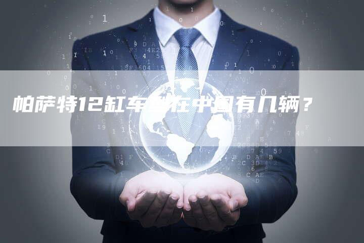 帕萨特12缸车型在中国有几辆?-新时代汽车网