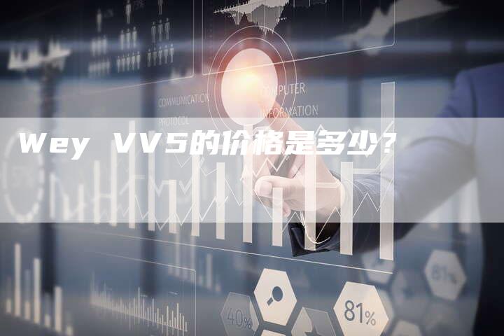 Wey VV5的价格是多少?-新时代汽车网