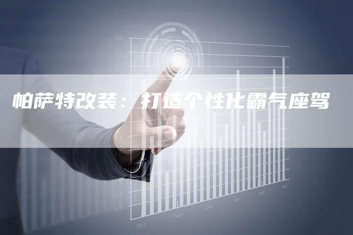 帕萨特改装:打造个性化霸气座驾-新时代汽车网