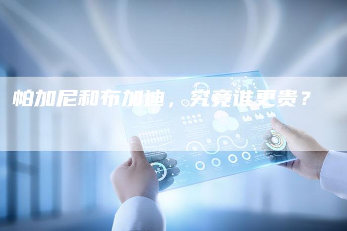 帕加尼和布加迪,究竟谁更贵?-新时代汽车网