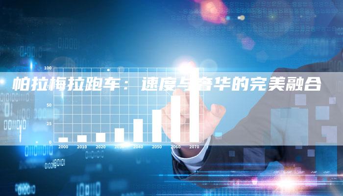 帕拉梅拉跑车:速度与奢华的完美融合-新时代汽车网
