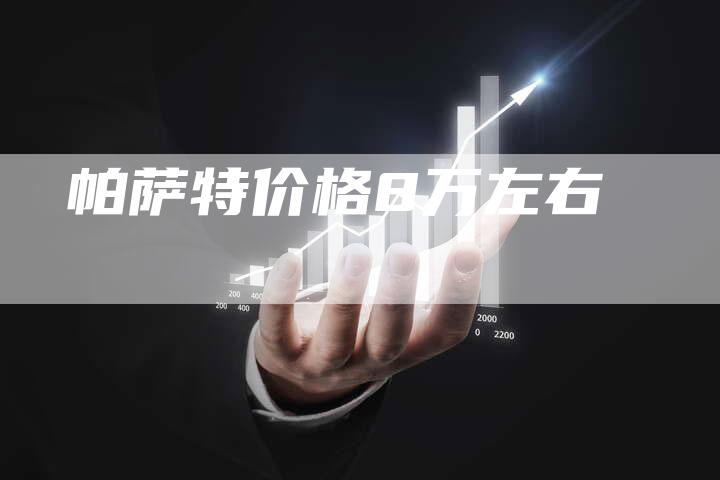 帕萨特价格8万左右-新时代汽车网