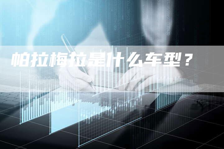 帕拉梅拉是什么车型?-新时代汽车网