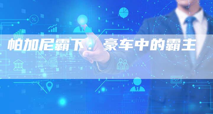 帕加尼霸下:豪车中的霸主-新时代汽车网