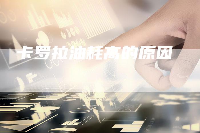 卡罗拉油耗高的原因-新时代汽车网