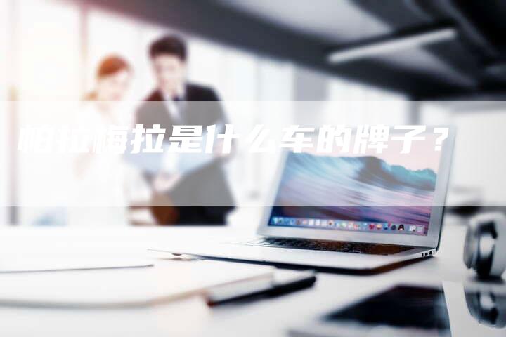 帕拉梅拉是什么车的牌子?-新时代汽车网