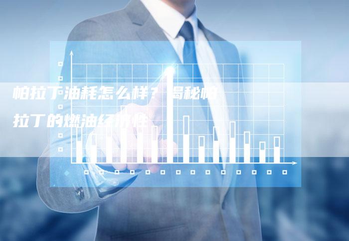 帕拉丁油耗怎么样?揭秘帕拉丁的燃油经济性-新时代汽车网