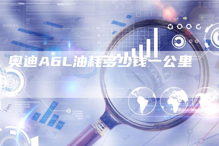 奥迪A6L油耗多少钱一公里-新时代汽车网